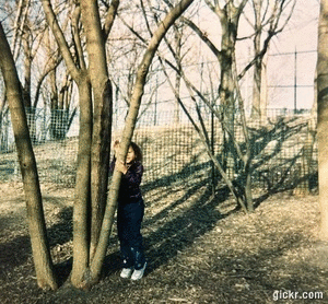 Animated GIF made with Gickr