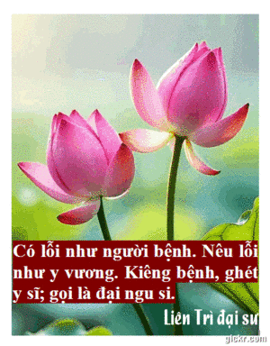 Animated GIF made with Gickr