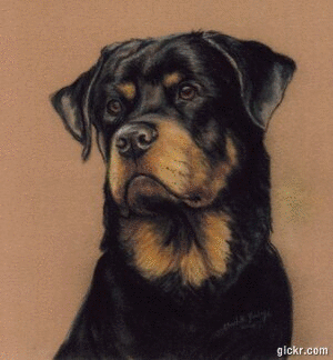 Animated GIF made with Gickr
