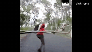 Animated GIF made with Gickr