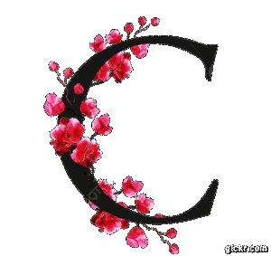 Animated GIF made with Gickr