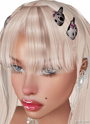 Animated GIF made with Gickr