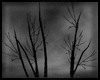 Animated GIF made with Gickr
