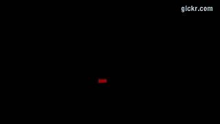 Animated GIF made with Gickr
