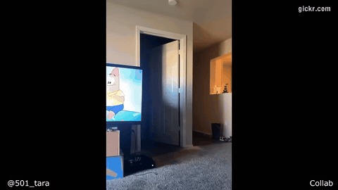 Animated GIF made with Gickr