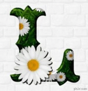Animated GIF made with Gickr