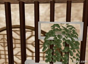 Animated GIF made with Gickr