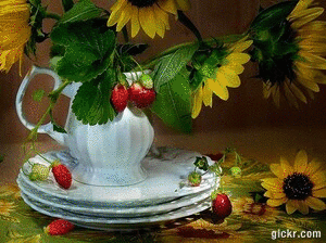 Animated GIF made with Gickr