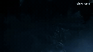 Animated GIF made with Gickr