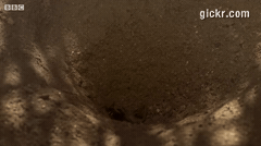 Animated GIF made with Gickr