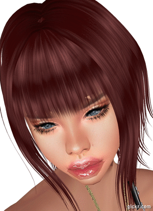Animated GIF made with Gickr
