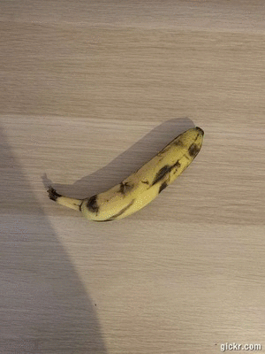 Animated GIF made with Gickr