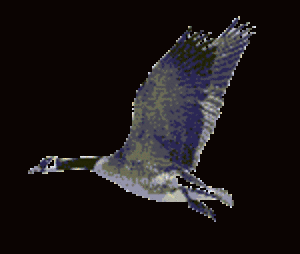 Animated GIF made with Gickr