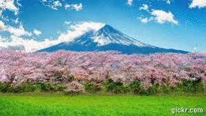 Animated GIF made with Gickr