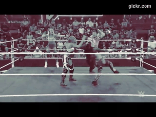 Animated GIF made with Gickr