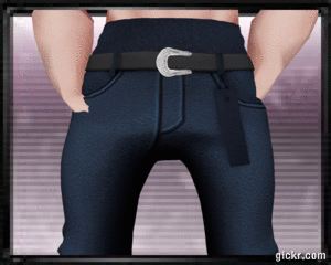 Animated GIF made with Gickr