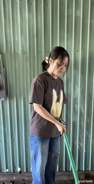 Animated GIF made with Gickr