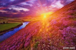 Animated GIF made with Gickr