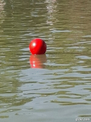 Animated GIF made with Gickr