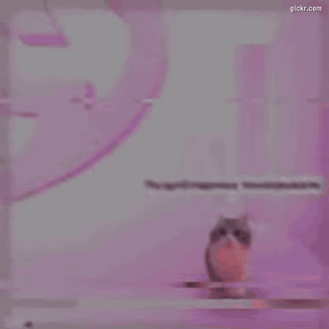 Animated GIF made with Gickr