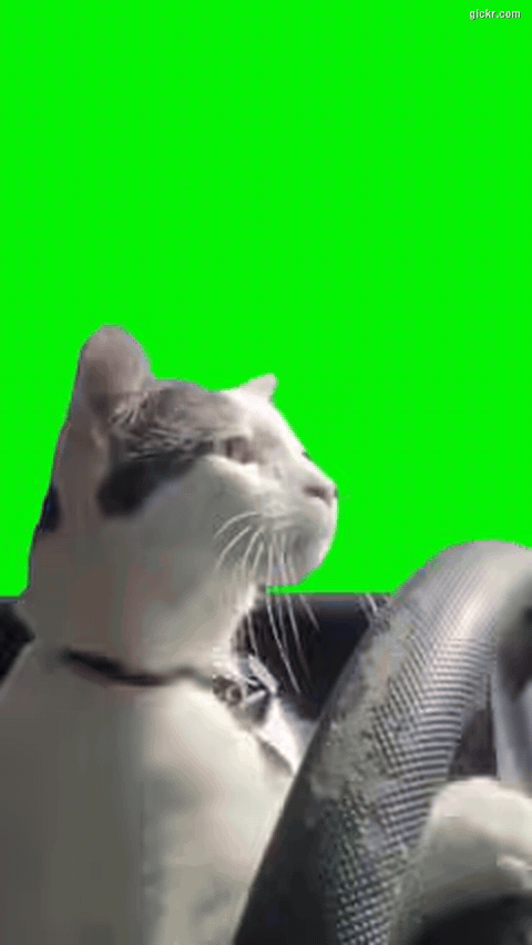 Animated GIF made with Gickr