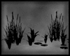 Animated GIF made with Gickr