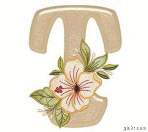 Animated GIF made with Gickr
