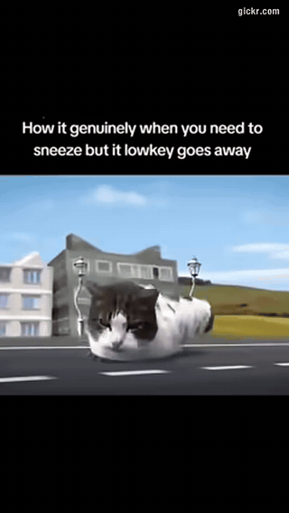 Animated GIF made with Gickr