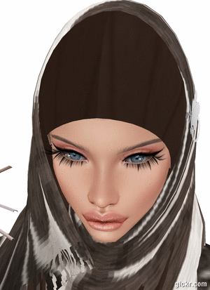 Animated GIF made with Gickr