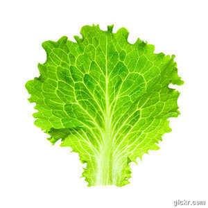 Animated GIF made with Gickr