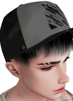 Animated GIF made with Gickr