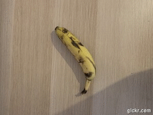 Animated GIF made with Gickr