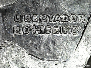 Animated GIF made with Gickr