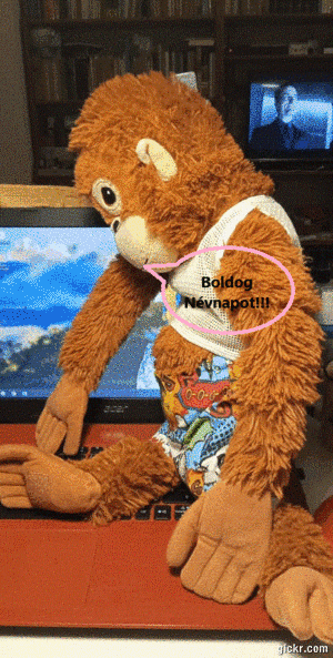 Animated GIF made with Gickr
