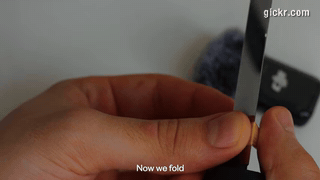 Animated GIF made with Gickr