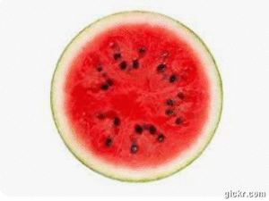 Animated GIF made with Gickr
