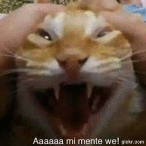 Animated GIF made with Gickr