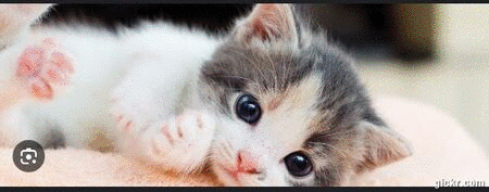 Animated GIF made with Gickr
