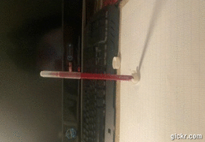 Animated GIF made with Gickr