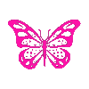 Animated GIF made with Gickr