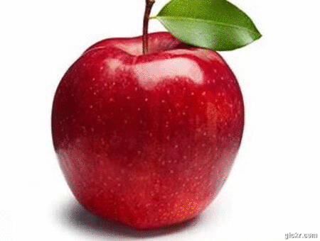 Animated GIF made with Gickr