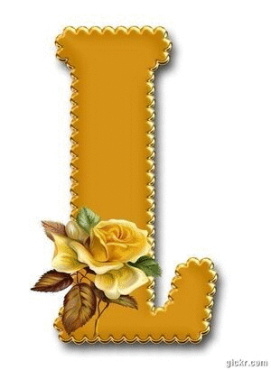 Animated GIF made with Gickr