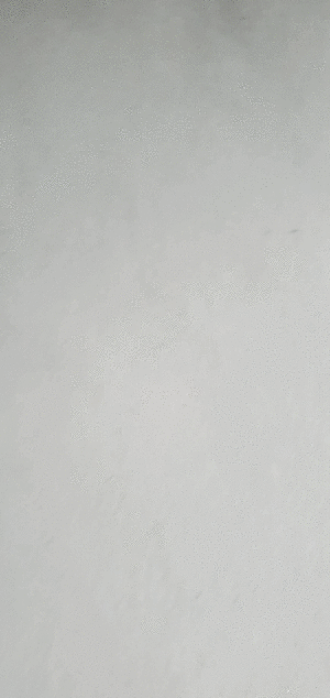 Animated GIF made with Gickr