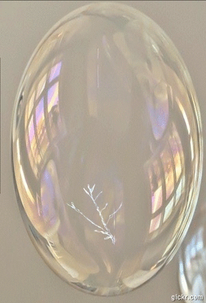 Animated GIF made with Gickr