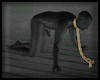 Animated GIF made with Gickr