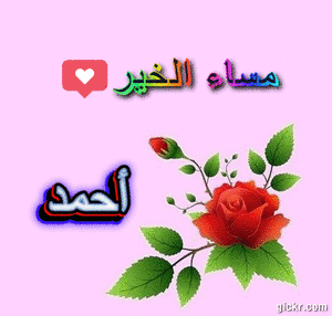 Animated GIF made with Gickr