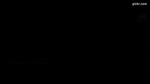 Animated GIF made with Gickr