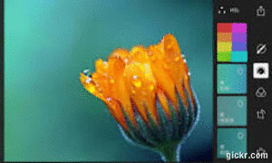 Animated GIF made with Gickr