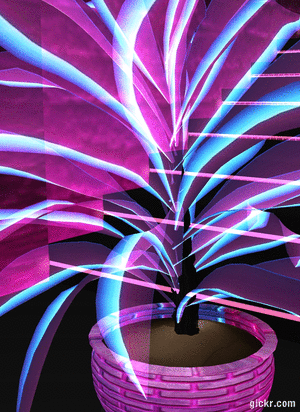 Animated GIF made with Gickr