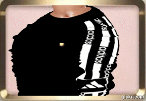 Animated GIF made with Gickr